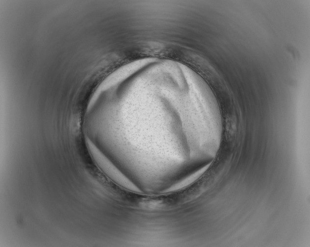 X0000113900602200910151357