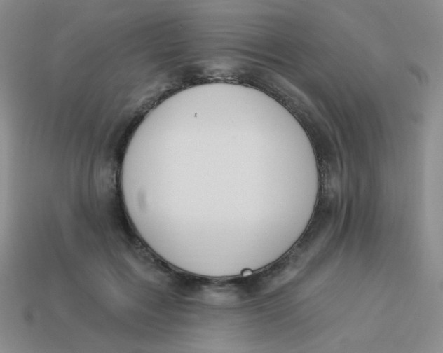 X0000113900603200910151357