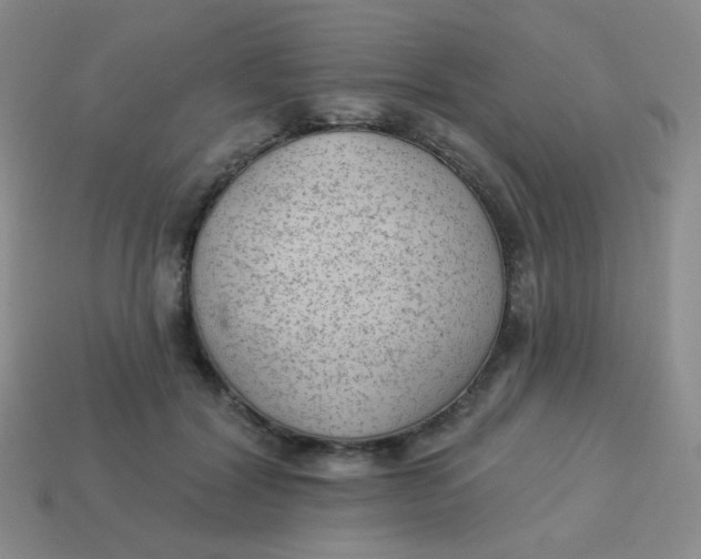 X0000113900604200910151357