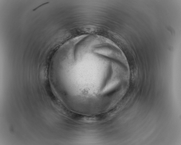 X0000113900606200910151357