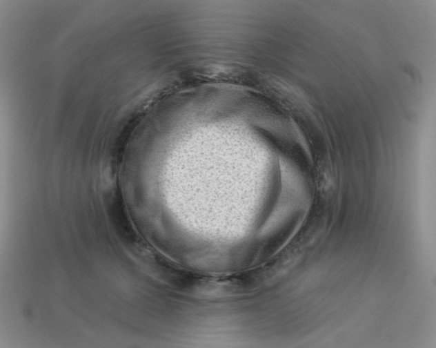 X0000113900607200910151357