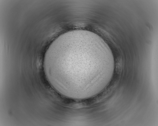 X0000113900608200910151357