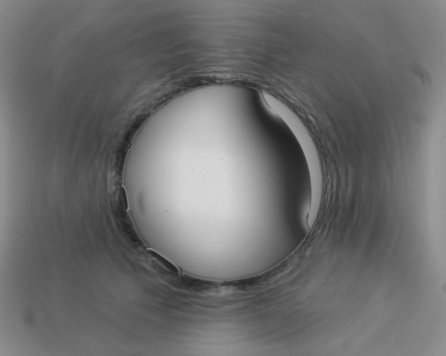 X0000113900609200910151357