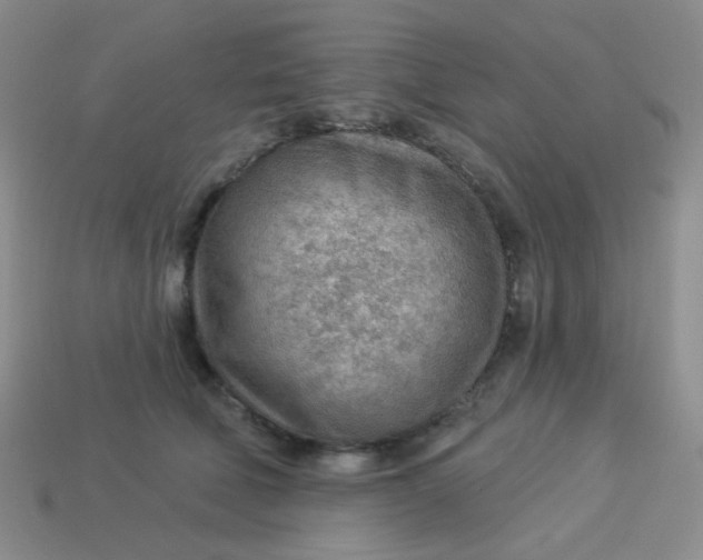 X0000113900610200910151357