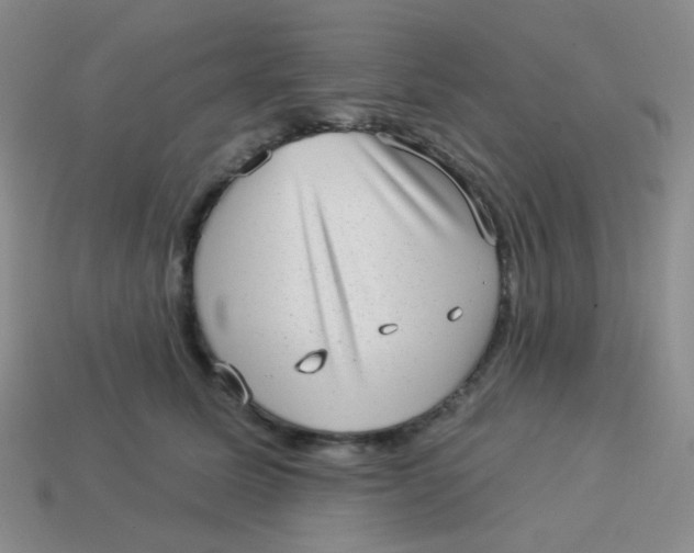 X0000113900611200910151357