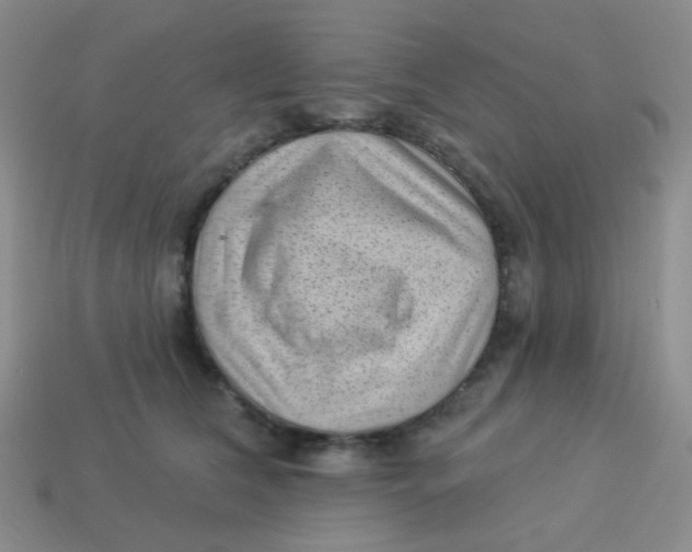 X0000113900612200910151357