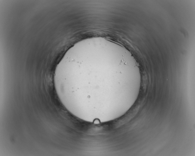 X0000113900613200910151357