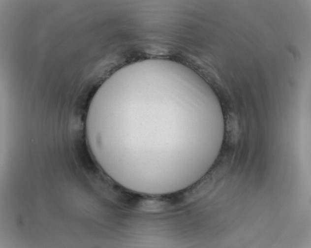 X0000113900614200910151357