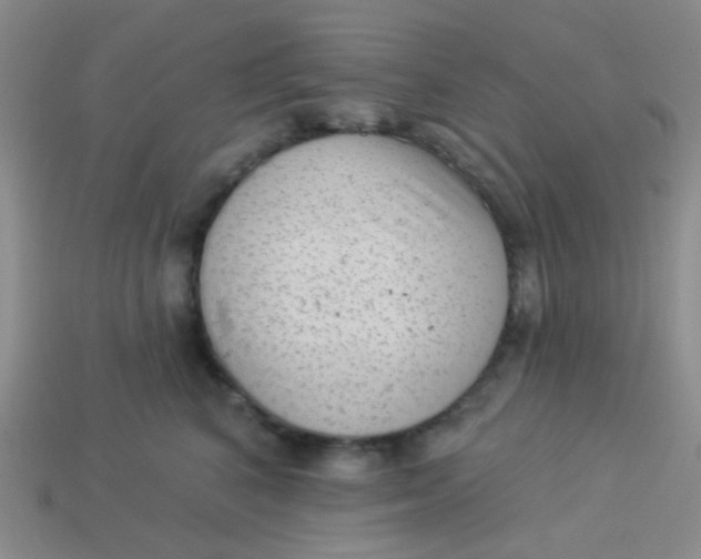 X0000113900616200910151357