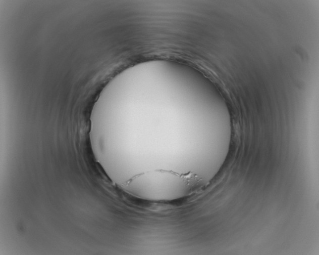 X0000113900617200910151357