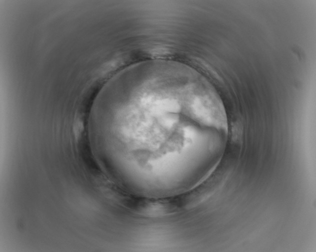 X0000113900618200910151357