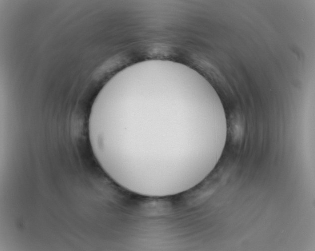 X0000113900619200910151357