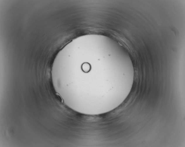 X0000113900621200910151357