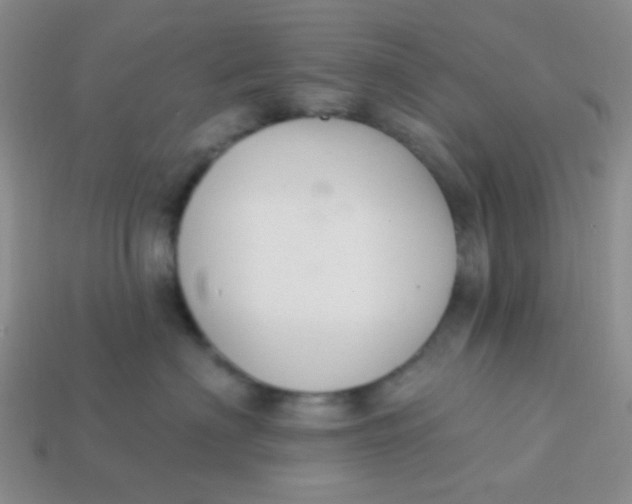 X0000113900622200910151357