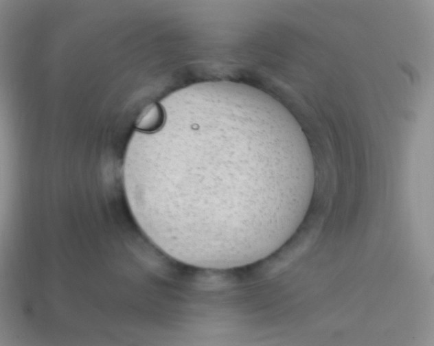 X0000113900624200910151357