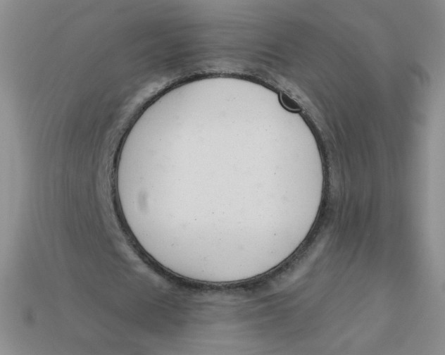 X0000113900625200910151356