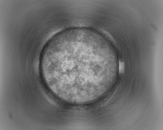 X0000113900627200910151356