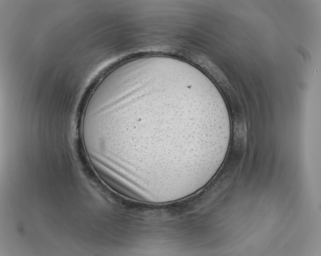 X0000113900628200910151356