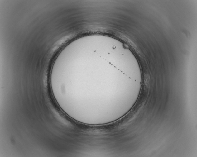 X0000113900629200910151356