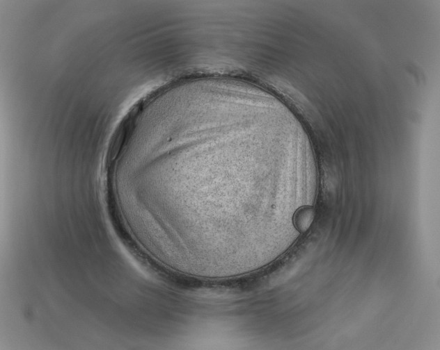 X0000113900630200910151356