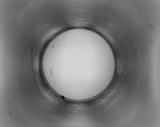 X0000113900631200910151356