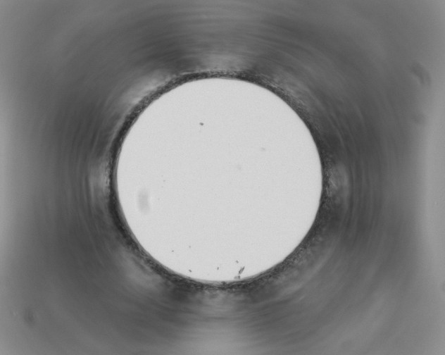 X0000113900632200910151356