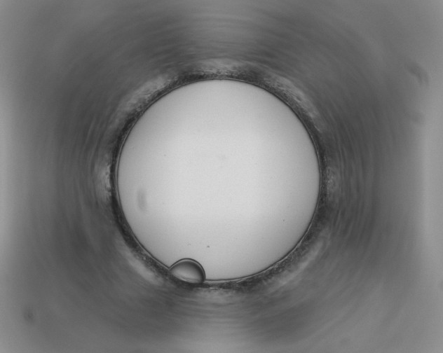 X0000113900633200910151356