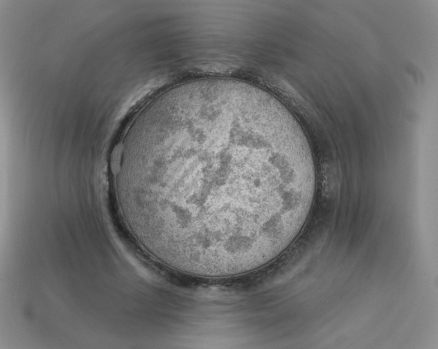 X0000113900634200910151356