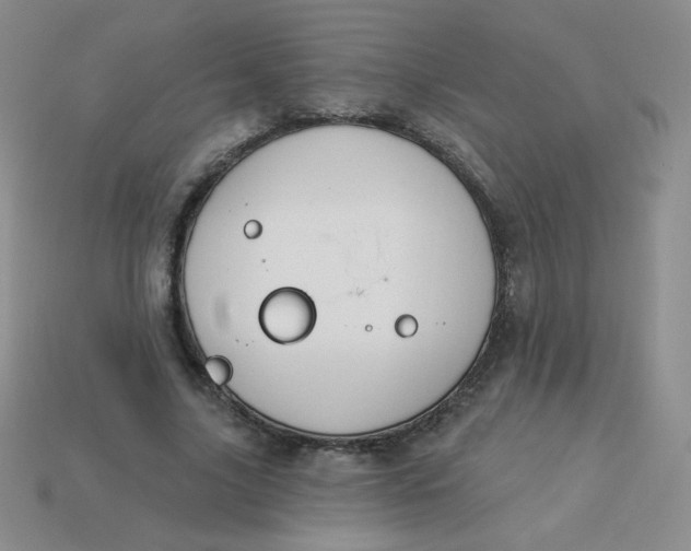 X0000113900635200910151356