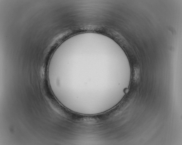 X0000113900636200910151356