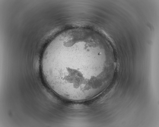 X0000113900637200910151356