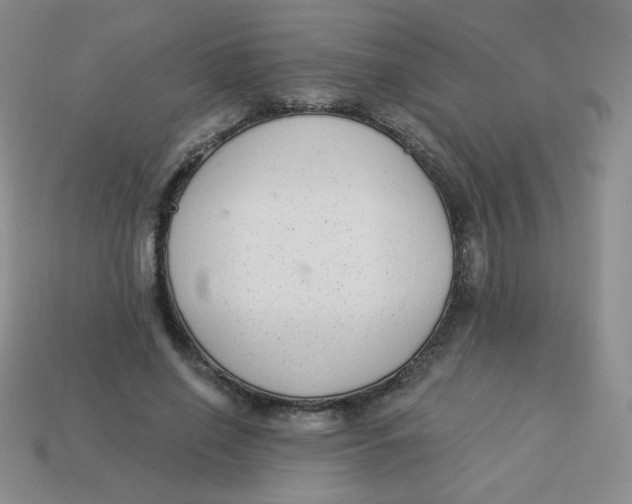 X0000113900638200910151356