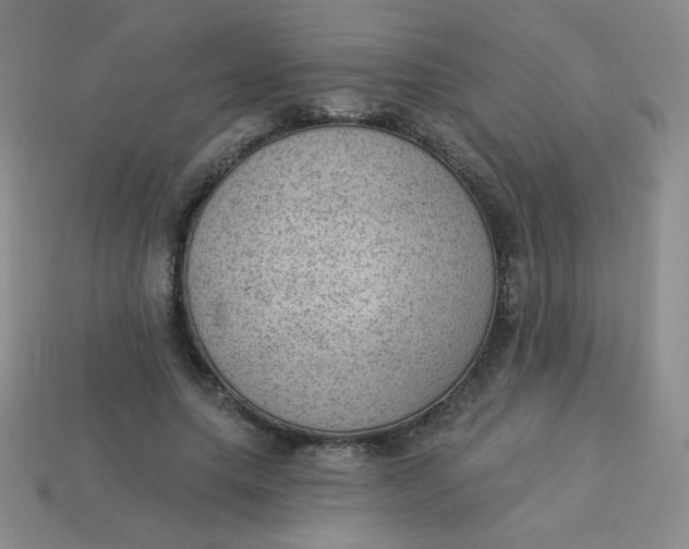 X0000113900639200910151357