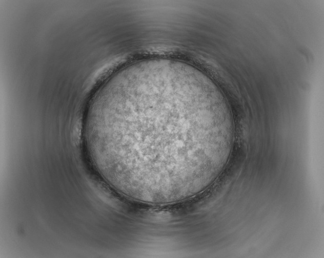 X0000113900640200910151357