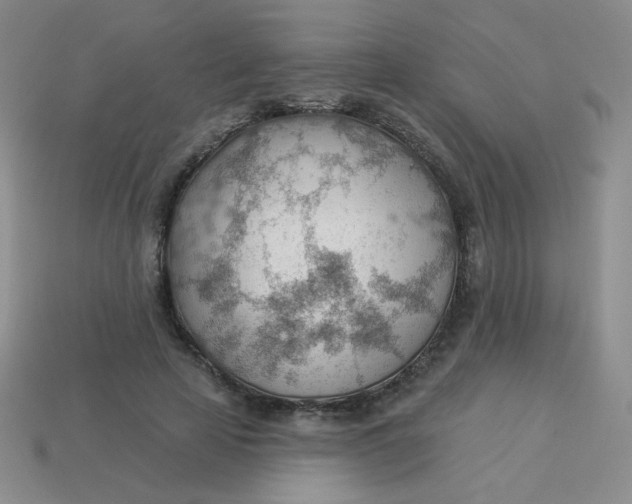 X0000113900641200910151357