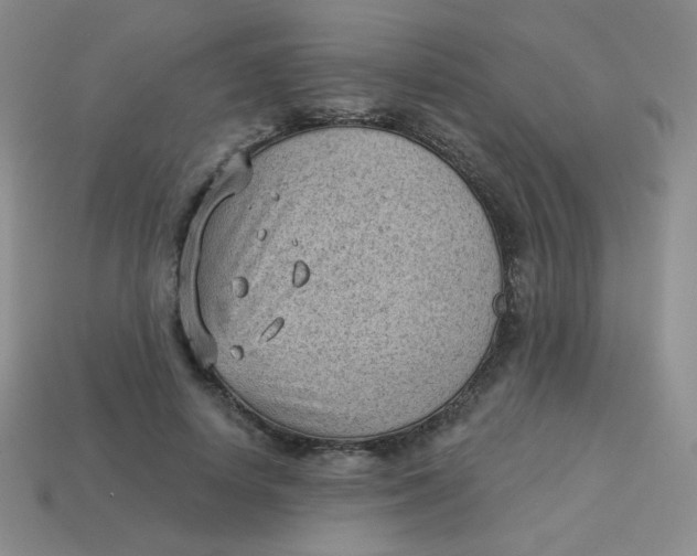 X0000113900642200910151357