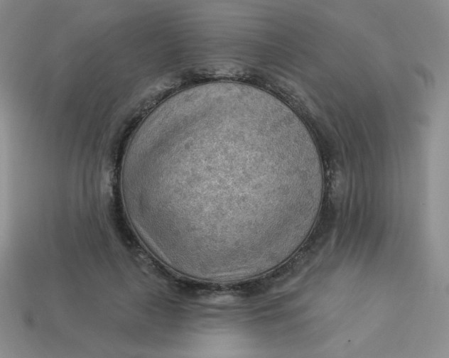 X0000113900643200910151357