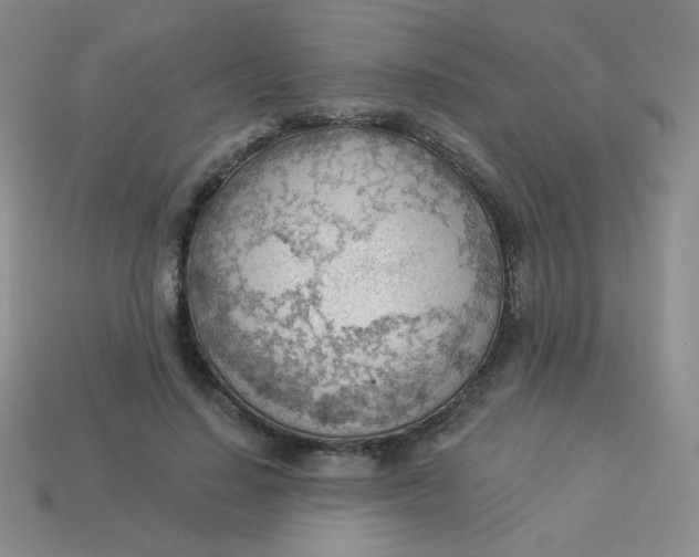 X0000113900644200910151357