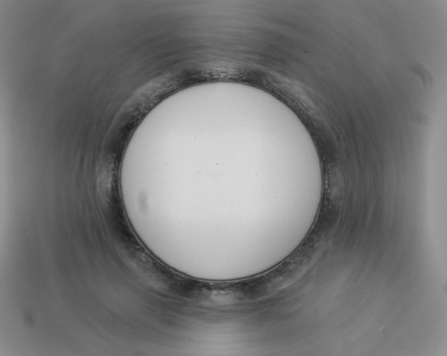 X0000113900645200910151357