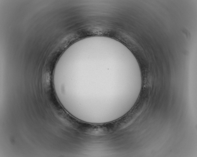 X0000113900646200910151357