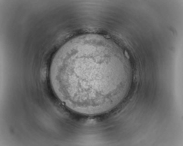 X0000113900647200910151357