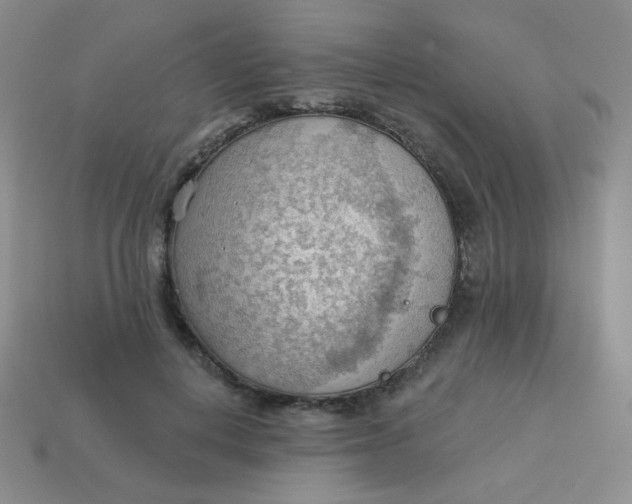 X0000113900648200910151357