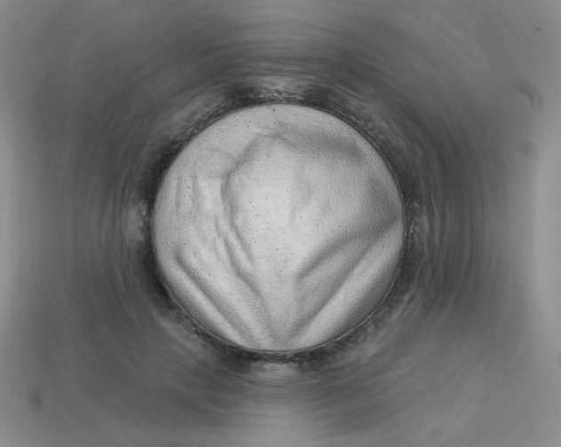 X0000113900649200910151357