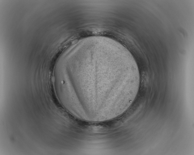 X0000113900650200910151357