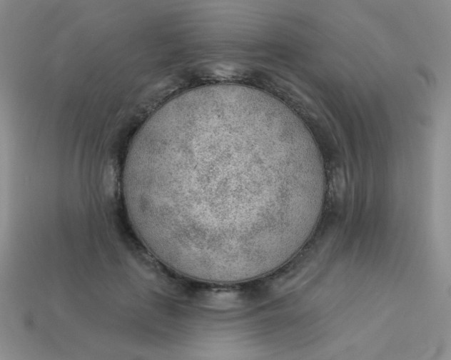 X0000113900651200910151357