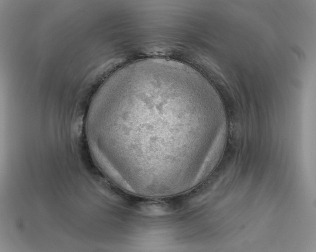 X0000113900652200910151357