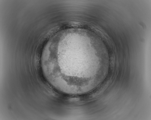 X0000113900653200910151357