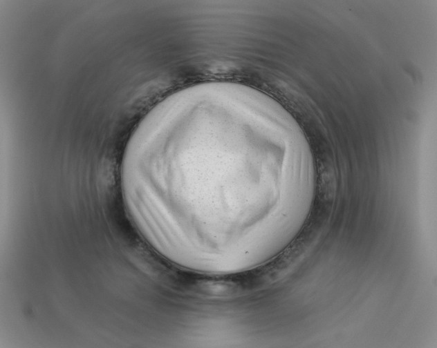 X0000113900654200910151357