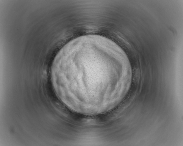 X0000113900655200910151357