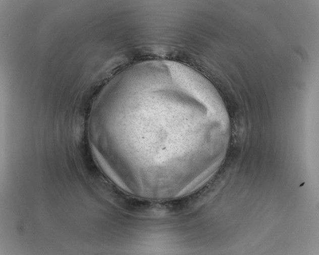 X0000113900656200910151357